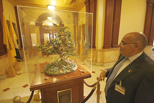 Allerlei Staatsinsignien auf einen Blick. Der Staatsbaum, der Staatsvogel, der Staatsreiselieter....