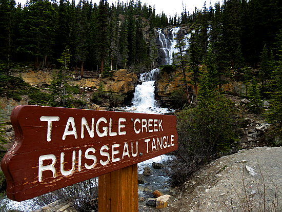 Tangle Creek Tangle Creek