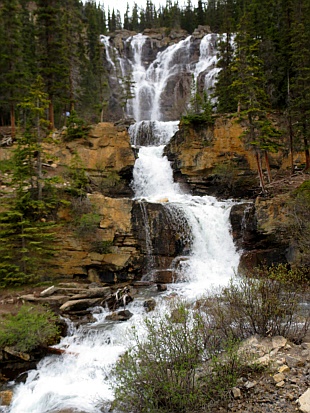 Tangle Creek Tangle Creek