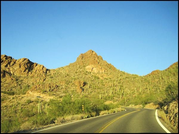 Die Fahrt durch die abendsonnen-durchfluteten Saguarohänge ist traumhaft Die Fahrt durch die abendsonnen-durchfluteten Saguarohänge ist traumhaft