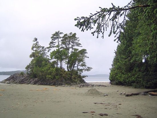 Tofino