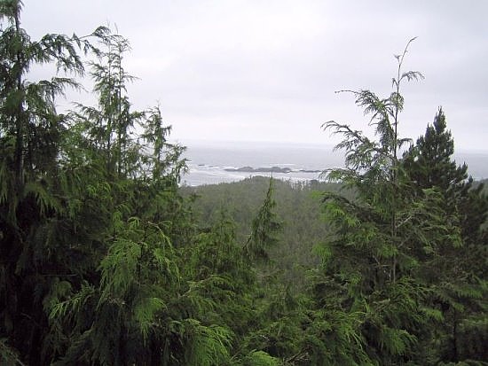 Tofino Tofino