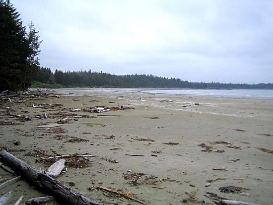 Tofino