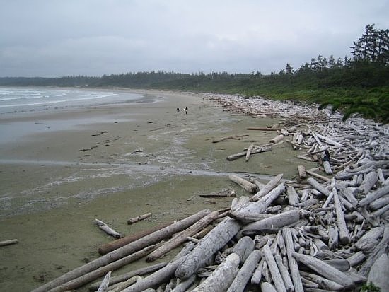 Tofino Tofino