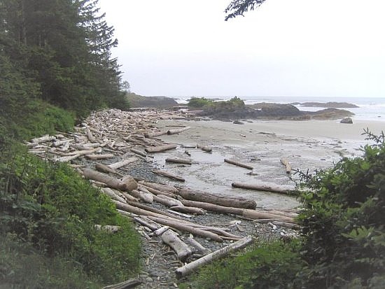 tofino17 tofino17