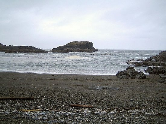 Tofino