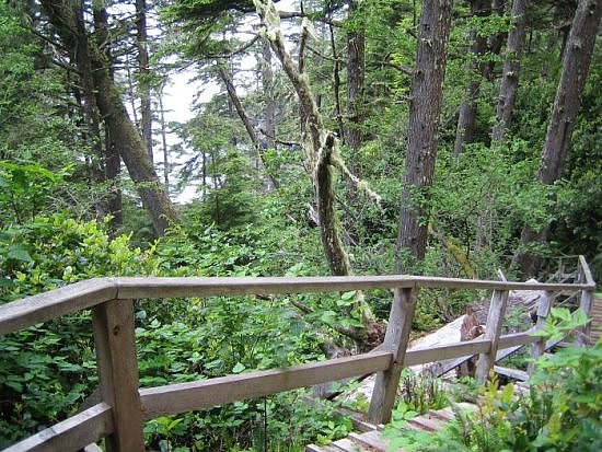 Tofino Tofino