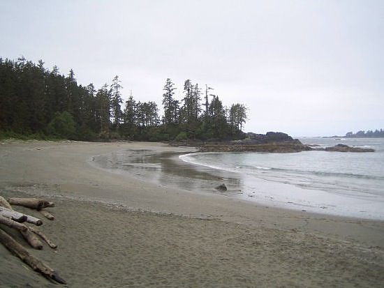 Tofino Tofino