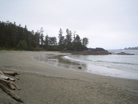 Tofino