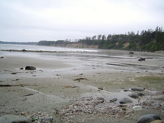 Tofino