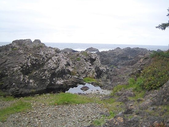 tofino36
