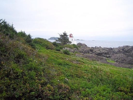 tofino37