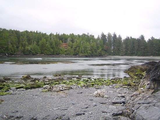 tofino39