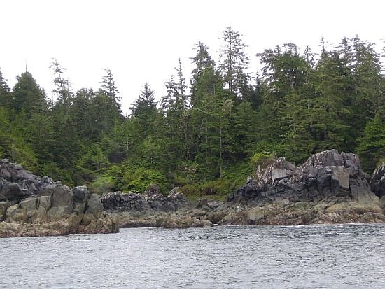 Tofino Tofino