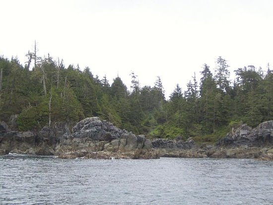 Tofino Tofino