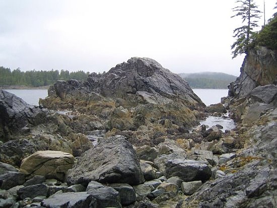 Tofino Tofino