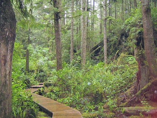 Tofino Tofino