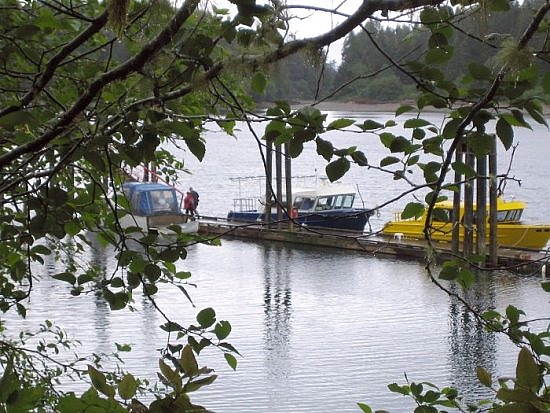 Tofino Tofino
