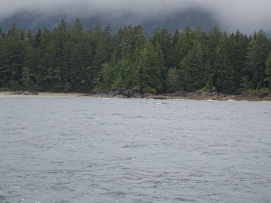 Tofino Tofino