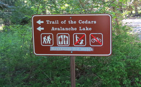 Trail of the Cedars