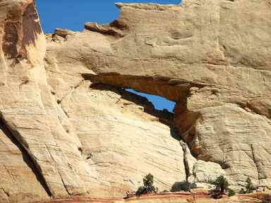 Peek a Boo Arch
