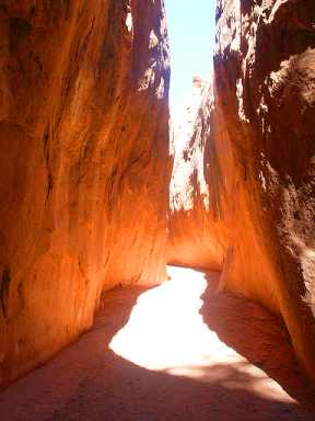 Coyote Gulch