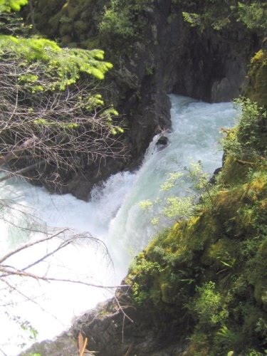 Little Qualicum Falls Provincial Park
