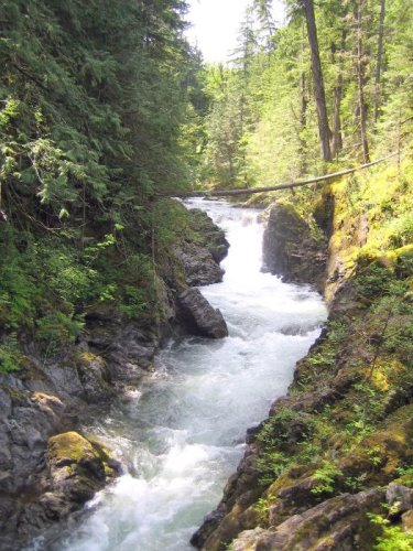 Little Qualicum Falls Provincial Park