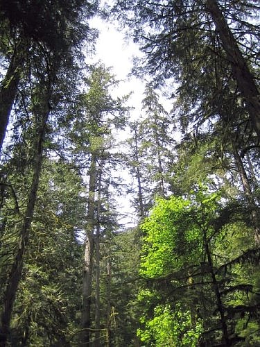 McMullen Provincial Park