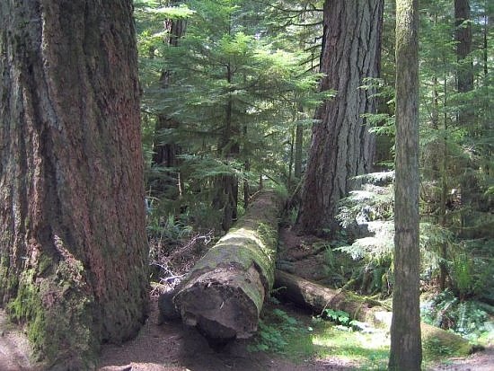 McMullen Provincial Park