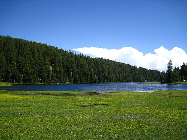 Todd Lake