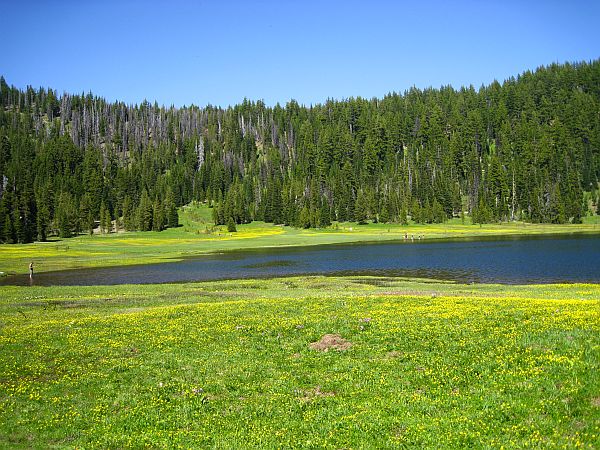 Todd Lake