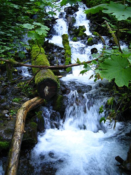 diverse Wasserflle