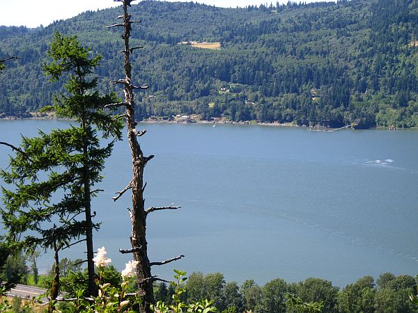 Lemmons Viewpoint