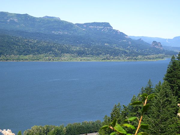 Lemmons Viewpoint