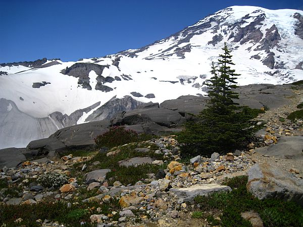 Mount Rainier Mount Rainier
