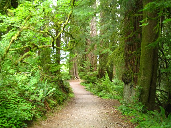 Olympic National Park Olympic National Park