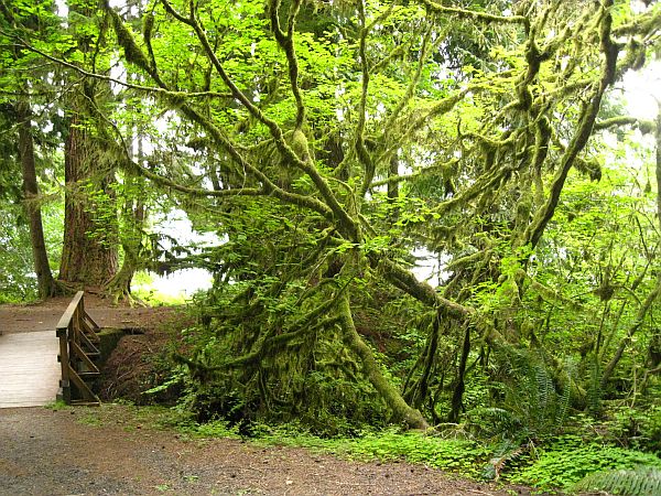 Olympic National Park Olympic National Park