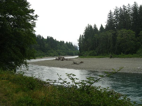 Hoh River Hoh River