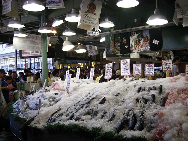 fliegende Fische? fliegende Fische?