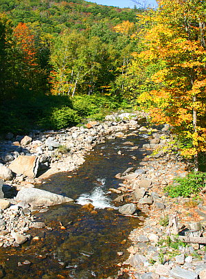 Vermont Foliage Vermont Foliage