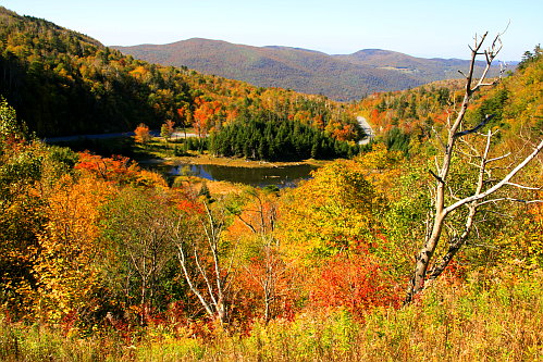 Vermont Foliage Vermont Foliage