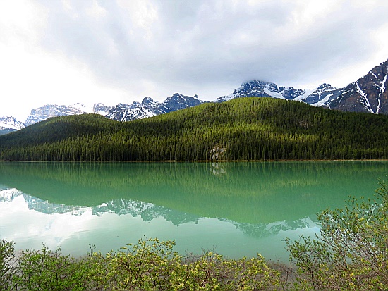 Waterfowl Lakes