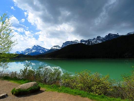 Waterfowl Lakes