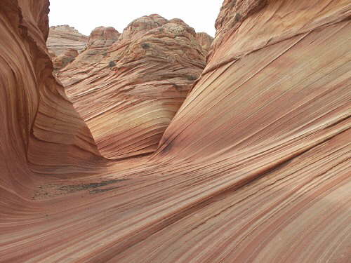 The Wave