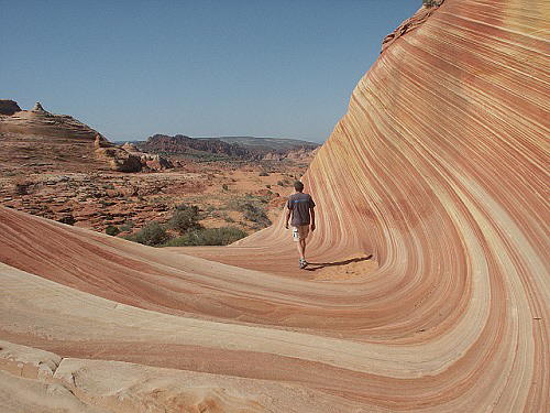 The Wave - und tüss.... The Wave - und tüss....