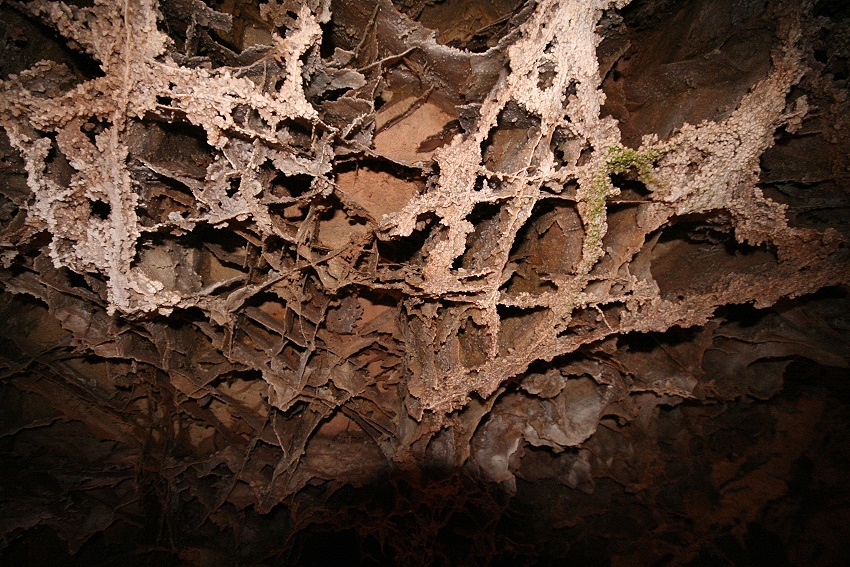 Wind Cave National Park