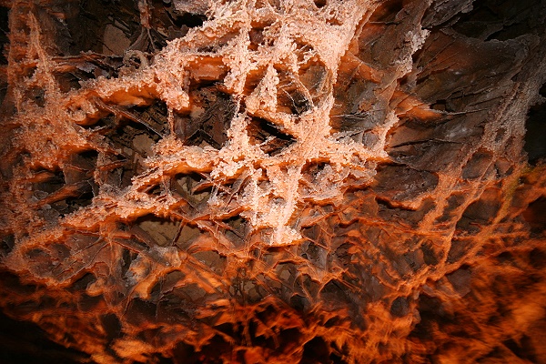 Wind Cave National Park Wind Cave National Park