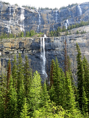 Icefield Parkway - Weeping Wall Icefield Parkway - Weeping Wall