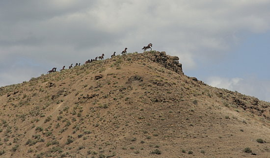 Wild Horse Monument Wild Horse Monument